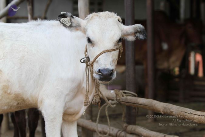 20140815 Photo 1154 1AMZoAB69jq FuT1eM3LzIGFz3rgMMwmJ.JPG