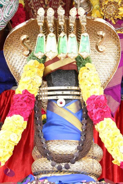 File:20140816 Photo 1005 10Jit087OlO4JvR8xsGDDChh5 hrX0KFW.JPG