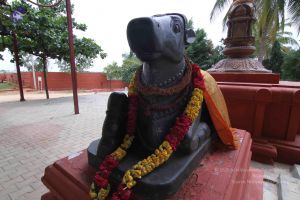 20140816 Photo 1010 1uknpNjQYTQBis Bv73yFC995zgk4IQjB.JPG