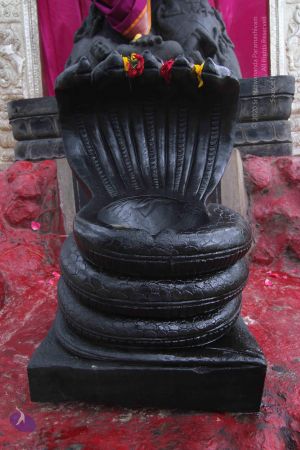 20140816 Photo 1022 1rXKXfYX-02269RNRhMyRwdK TCN14HEu.JPG