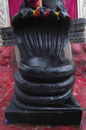 20140816 Photo 1025 1cnk cbppMZpjvoRAFgRogRsFpTCE3s7y.JPG