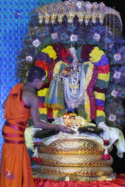 File:20140817 4494 CMP WM.jpg