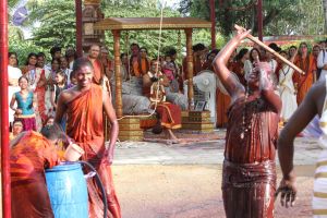 20140817 Photo 1454 1m0K0kWhkxTNJ-pNwhl-M678uEy jqlc0.JPG