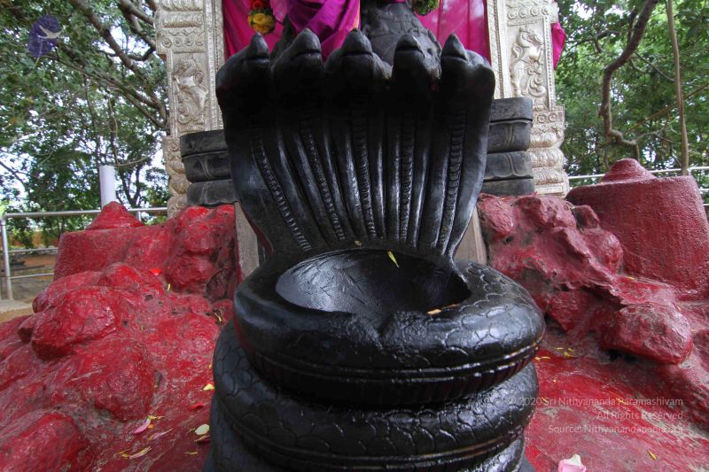 File:20140819 Photo 1052 1PH7GBQsP2lkYrioFR-D919TA9KFS1uJQ.JPG