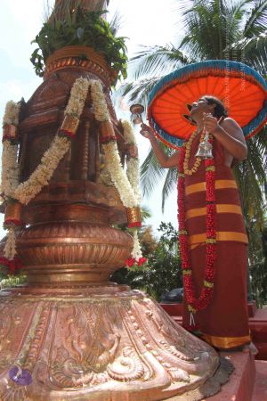 20140820 Photo 1252 1UkVI13Y1Qux5cnBeRb6IyNVV DNGRZo .jpg