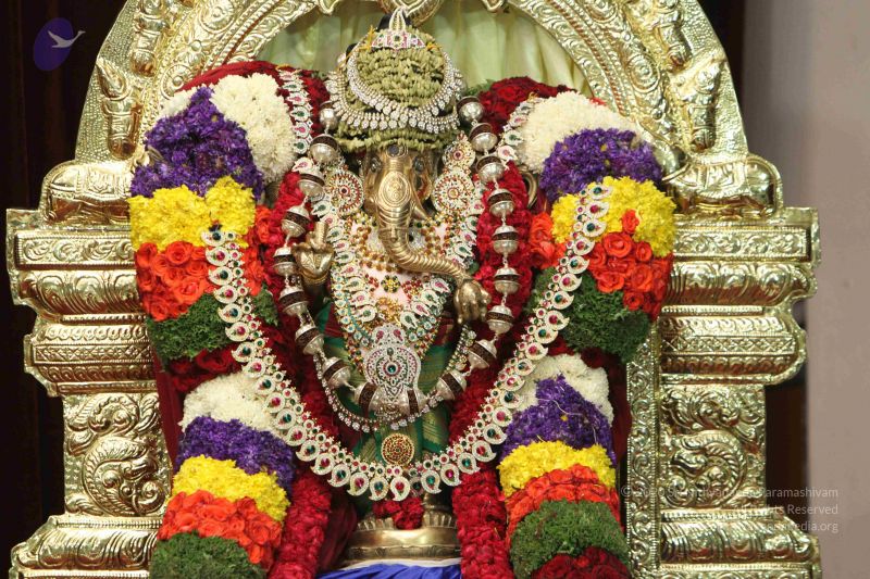 File:20140821 Photo 1023 1DB8co gNwYsBTYT33afDnbLzbZpVueMw.JPG