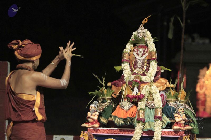 File:20140821 Photo 1103 1V735N8sf44bSBSPKz Rdi-zDqdq2-C59.JPG