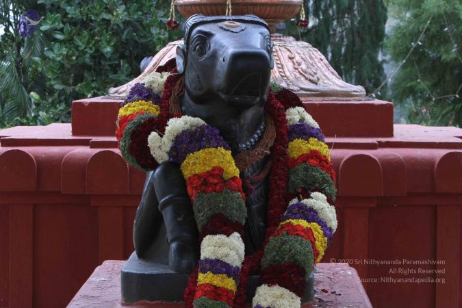 20140822 Photo 1000 1Otkfr0RyXcCyxgCFaGaAAVMNwyaQnRI3.JPG