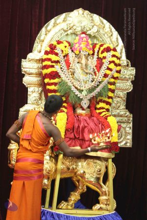 20140822 Photo 1023 1ktjzlLjFkKSFSESJ2naGqO3Wv-4NJ-ef.JPG