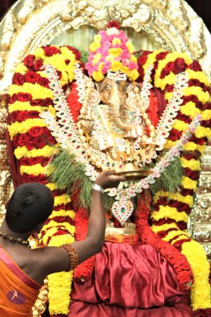 20140822 Photo 1032 16tkoF8XXyDNv63Ch9FdLZosLXmlp29KQ.JPG