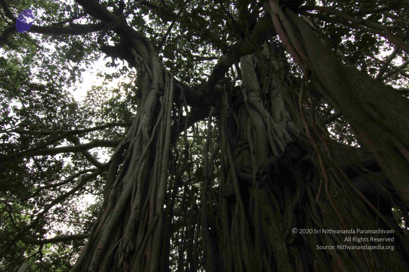 File:20140824 Photo 1030 1APTftVrNLfs5duuOLExqBQ57JC4d KKz.JPG