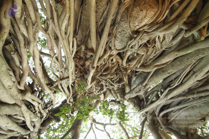 20140824 Photo 1192 17UqanVkc54xCIXu8yuhzsXntTXVK fAz.JPG