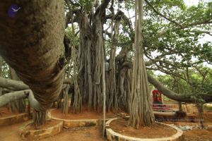 20140824 Photo 1198 1hUIDshtDQHyALBcfVsXZaomE3yFKCwbe.JPG