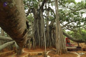 20140824 Photo 1199 1DZSUSYMzhg2FctUafebWmUE0stSvvwwz.JPG