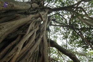 20140824 Photo 1200 1fJ3P8iixzEvBJ6FgmGMRutpGe-A1 w1x.JPG