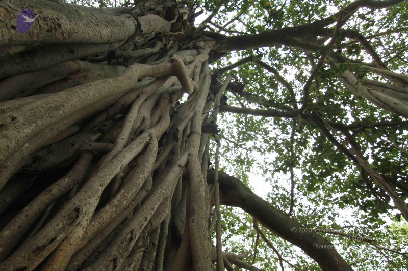 File:20140824 Photo 1200 1fJ3P8iixzEvBJ6FgmGMRutpGe-A1 w1x.JPG