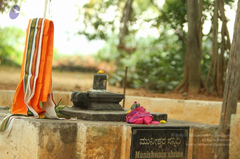 File:20140824 Photo 1203 1y-dnMuGAaglsjg8V6b78t-zUwndQNQ9d.JPG