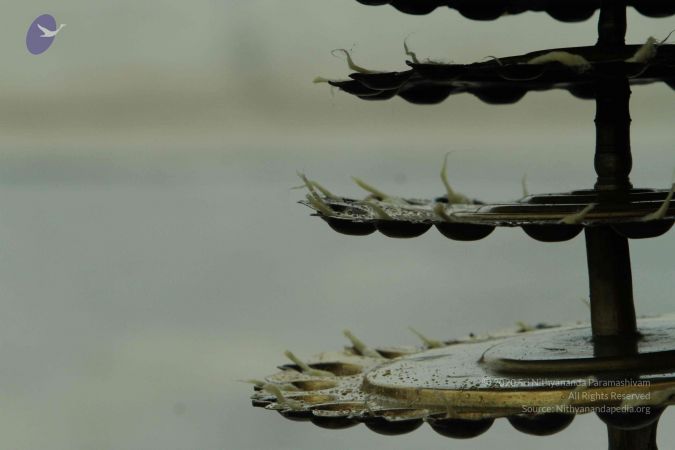 20140824 Photo 1208 1nElxI28j0Uxm5GCqL2HXjcqV5Swg4Sz2.JPG