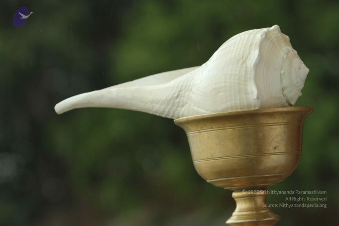 20140824 Photo 1210 1s4eFOUvlCgegGt7 zmk-j8MqWoBBRSsW.JPG