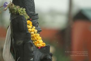 20140824 Photo 1213 1Eh4I2TqiueiBCbOwgfQ3J081jIjU hcV.JPG