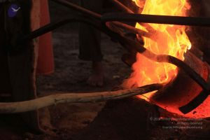 20140824 Photo 1308 1t qJPodcODSLLyZ4d8y1KgbqXZlyhsro.JPG