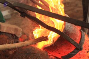 20140824 Photo 1326 1TeYwQjCHLJpnz6gPxOXUfZwAVxv1LRLE.JPG