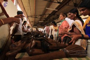 20140824 Photo 1357 15x2lmwjP-jWCMGt5nq1nCy1T23ZGRn9l.JPG