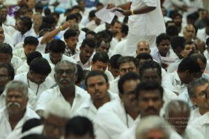 20140824 Photo 1524 1Li7v3aK3U836Pr4zu07iVmI7yTqWhRVB.JPG