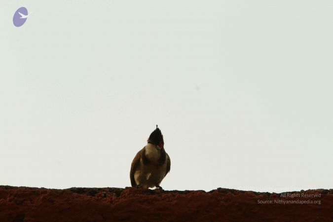 20140824 Photo 1891 1BIjiAIW-bwy5fotdNg2W4IBLof2CltL2.JPG