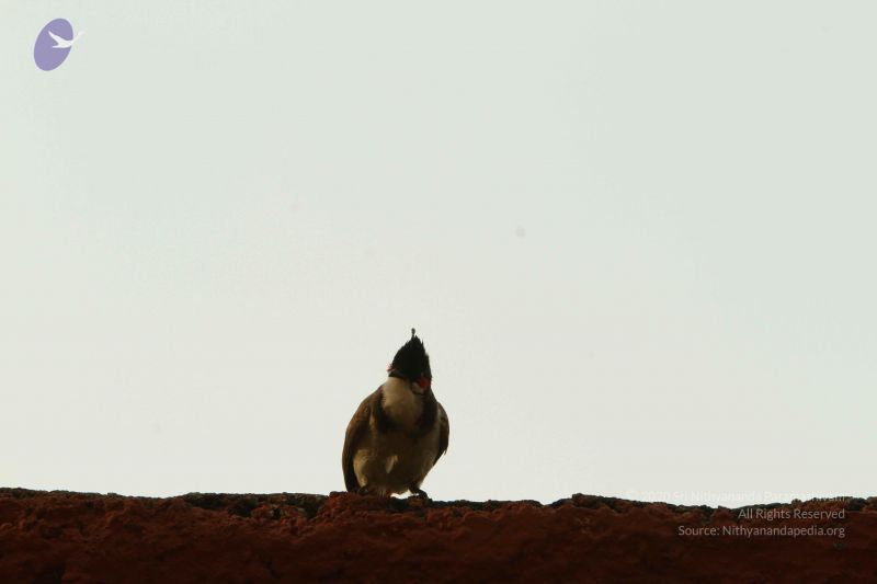 File:20140824 Photo 1891 1BIjiAIW-bwy5fotdNg2W4IBLof2CltL2.JPG