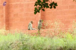 20140824 Photo 1896 1tnvdsIBbN4VVj5WaInt3z0Gh8cR8 Da3.JPG