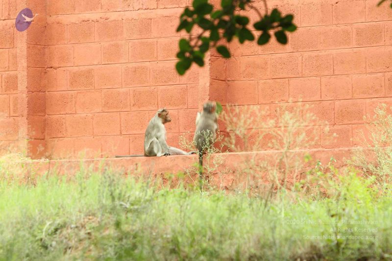 File:20140824 Photo 1896 1tnvdsIBbN4VVj5WaInt3z0Gh8cR8 Da3.JPG