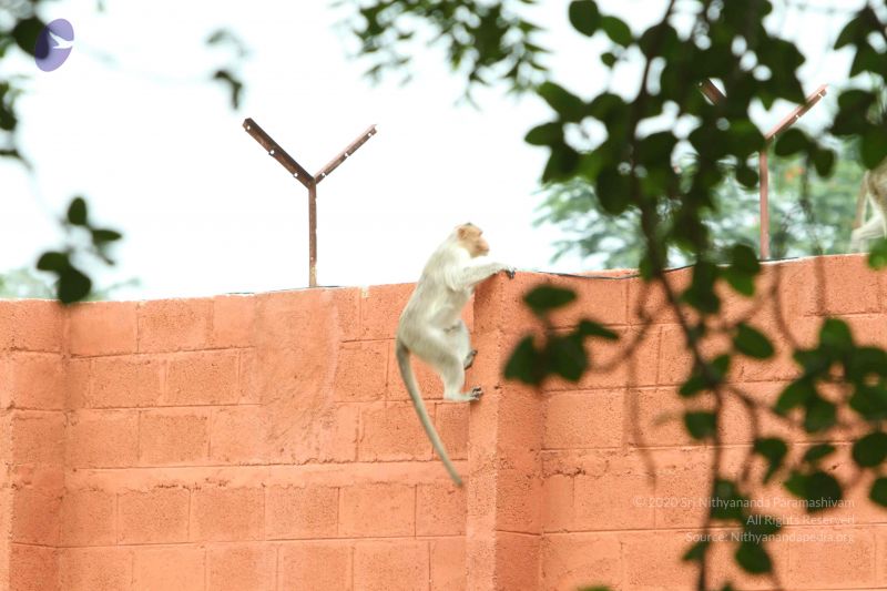 File:20140824 Photo 1897 1TeABpYXG3WsHdFBLOMVFE UT87WIq0Rz.JPG