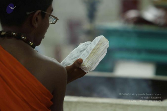 20140824 Photo 1930 1 FczAOPP70vmHh8R47mqtqLGcIsZcPNv.JPG