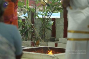 20140824 Photo 1942 191d7-gXC9516noSPgcChGI7a1ilcJc4c.JPG