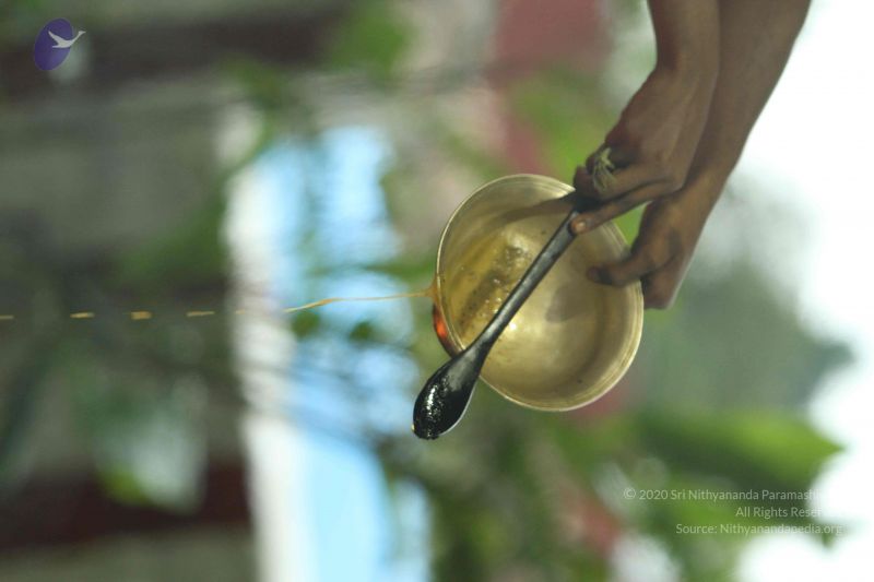 File:20140824 Photo 1943 1iZ7PPQnVpehDoE2XESRpsoY8I MMtD9J.JPG