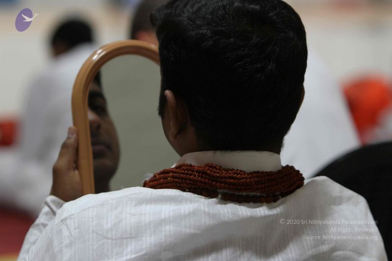 File:20140827 Photo 1000 13wS1rDWLuUs4gIyTCiI0FixTWl3dO3XJ.JPG