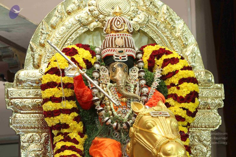 File:20140827 Photo 1033 1YzuTquigC9s7ZKgHaQFybjbPp-6XwVU2.JPG