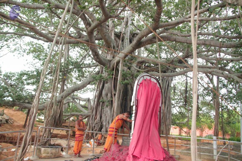 File:20140828 Photo 1003 1TNww1XYS7Yg-IrXiHHWTF-54HqDNNv C.JPG