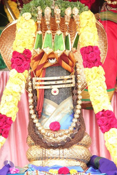 File:20140828 Photo 1004 1YhJD0DYVmluhLrVHSmTbka4VwGfEXlKT.JPG