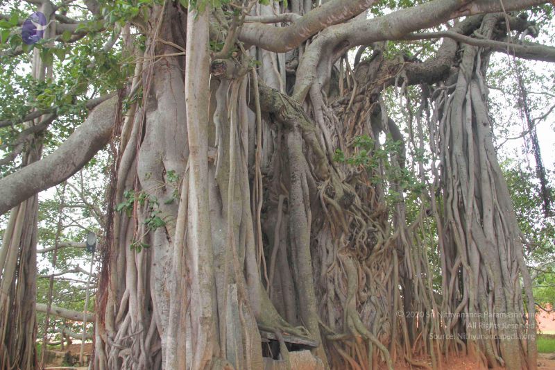 File:20140828 Photo 1005 15Y7BS-i5 WTZilNdouDUJhZ7wTBjz4la.JPG