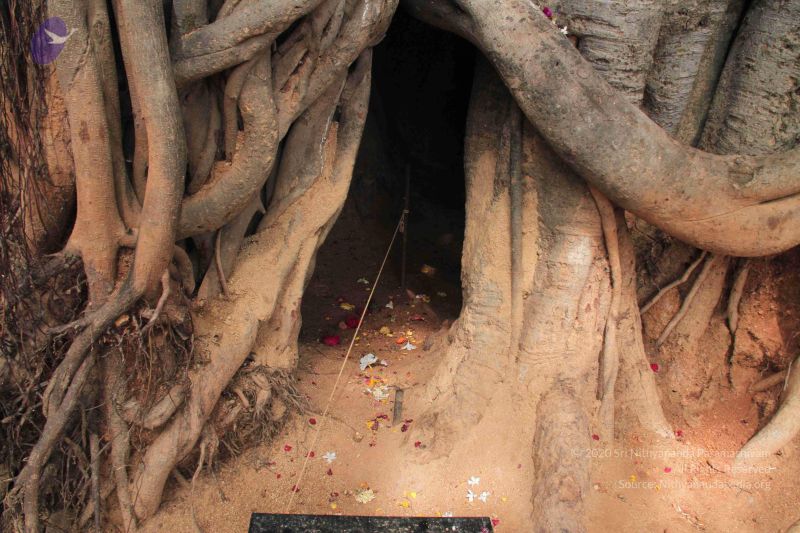 File:20140828 Photo 1007 1ufk PZ6OqfJKHyjZbyK5igYInu9eyjbM.JPG