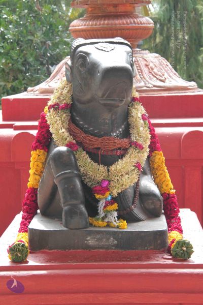 File:20140828 Photo 1011 1-l5W2KNVdPGwvCMWz2b030sL1K3vmOkH.JPG