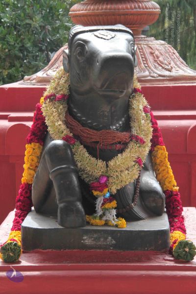 File:20140828 Photo 1012 1RmRn4FHbhN24fRXlE1jlUW7 cnKIlA B.JPG