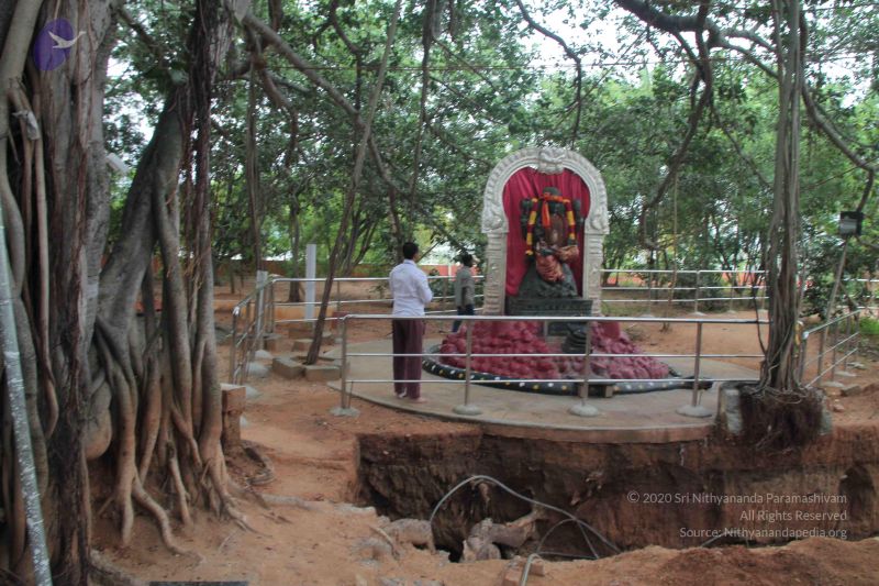 File:20140828 Photo 1061 1UJi1rpXaqNOijJM34jbUV1kZMly7G1r2.JPG