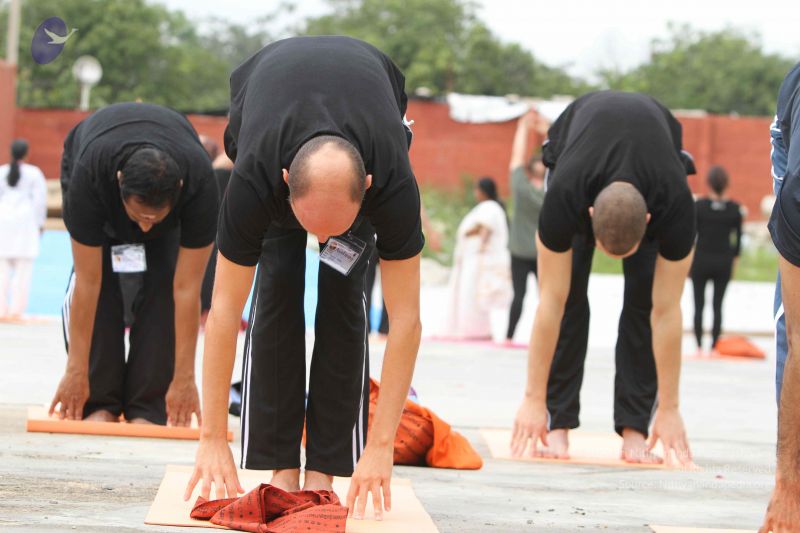 File:20140829 Photo 1236 1wcyphSbYJfWpPOpgMNTtRkr4hIYxq9af.JPG