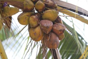 20140829 Photo 1248 1RAnZp0s2ro4LqyvVU1WKuT1a6OY8QEQh.JPG