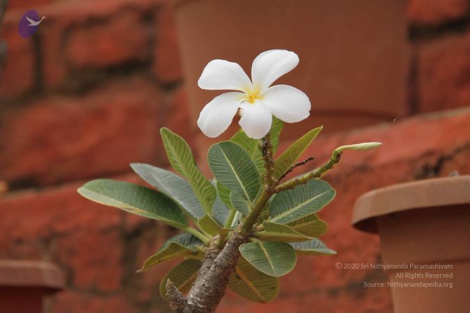 20140901 Photo 1071 1OukH3SNYU84nHXkY4dHIf-x2LIEADi6F.JPG