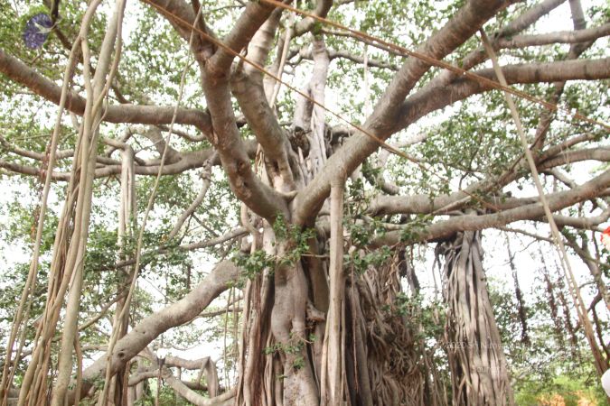 20140901 Photo 1123 109mh8C0bX8fI6u-DPcttUPzLPr2sXXno.JPG