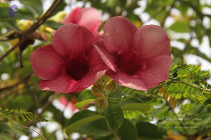 20140901 Photo 1134 1uASjO IhRXegyyLMmb 933gTa2sqwoDX.JPG